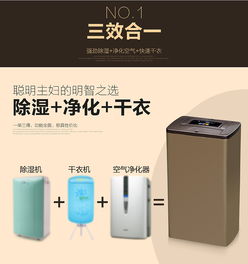 家電詳情 除濕機(jī)