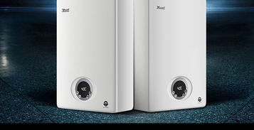 林內(nèi)燃?xì)鉄崴鱮us c10e32ar f 10升冷凝精控恒溫 熱水器 大家電 家用電器 手機(jī) 大家電 神利家 線上一站式家庭服務(wù)平臺(tái)