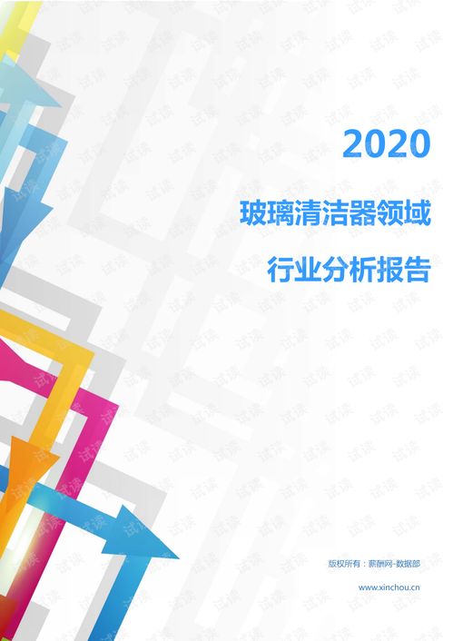 2020年家電家居清潔用品行業(yè)玻璃清潔器領(lǐng)域行業(yè)分析報告 市場調(diào)查報告 .pdf
